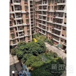 深圳沙井村小区新闻头条,揭秘背后真相